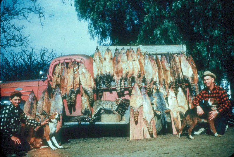 Copy of Scan2076.jpg