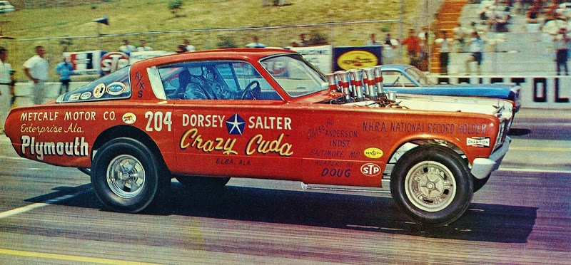 Crazy Cuda  Dorsey Salter.jpg