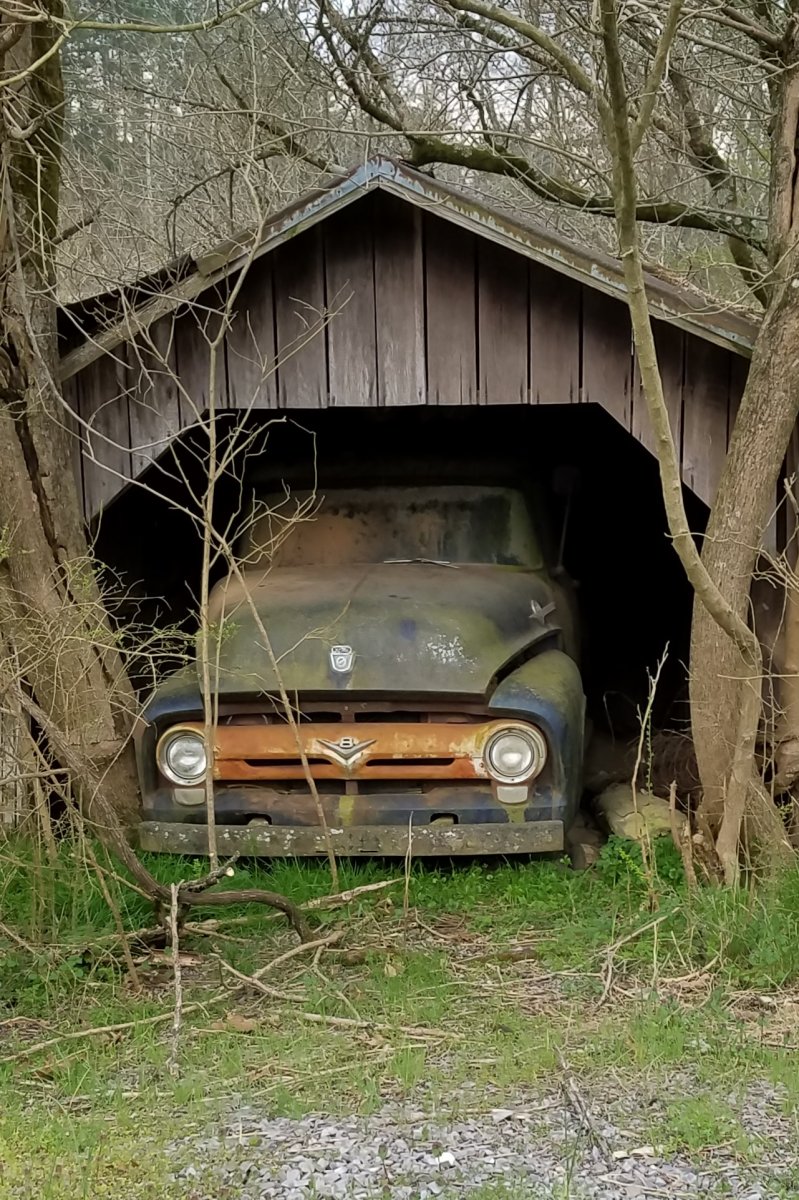 Creek Road.jpg