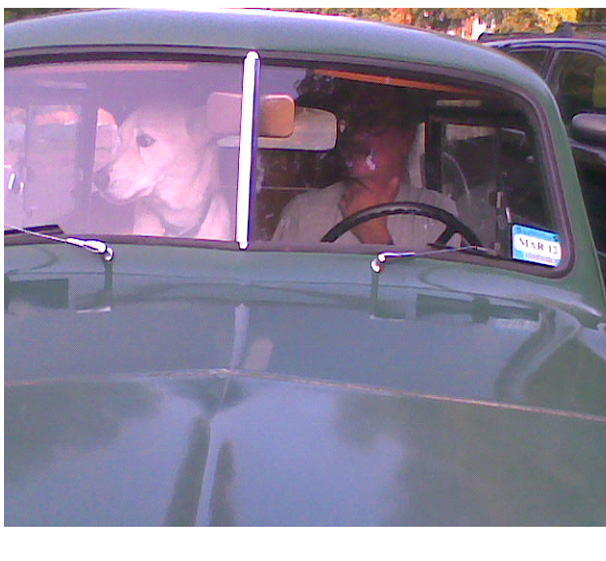 Crosley with Seb and Hunter.jpg