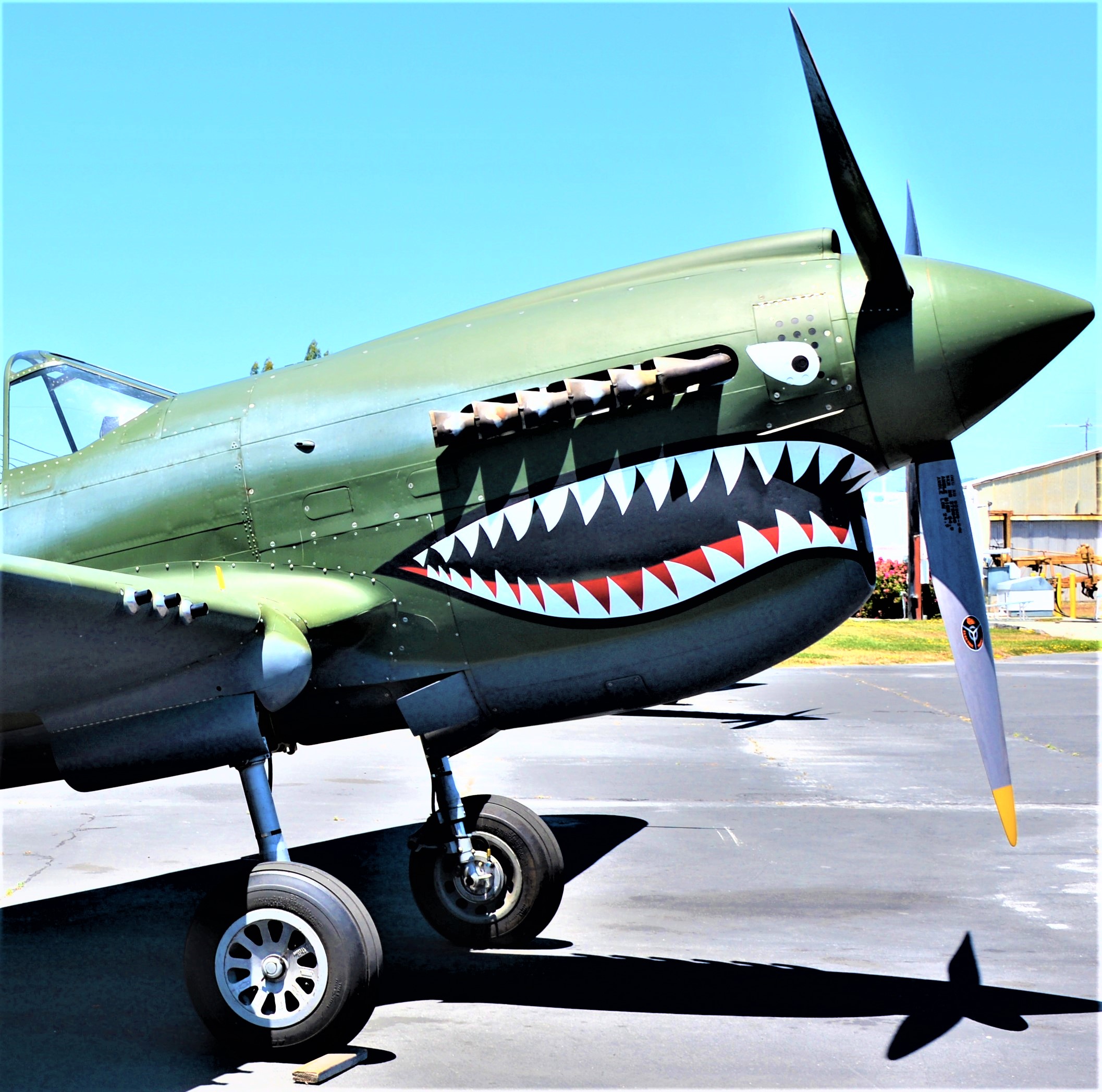 Curtiss P-40.JPG