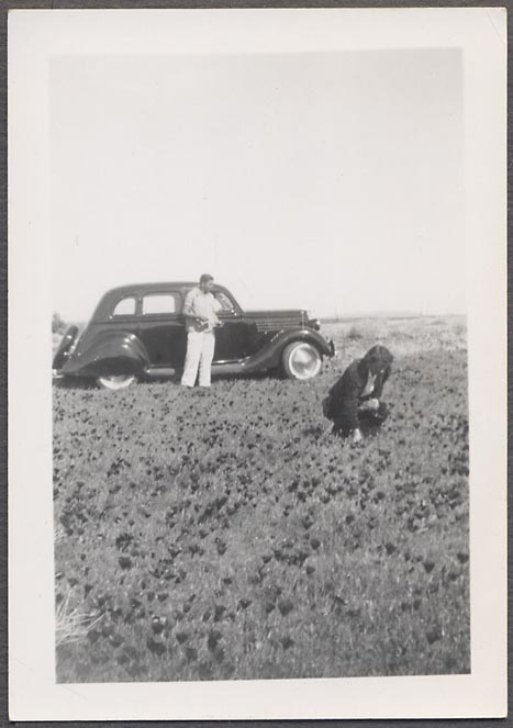 D07622.jpg
