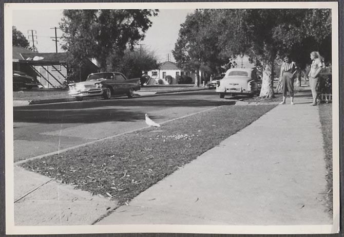 D07690.jpg