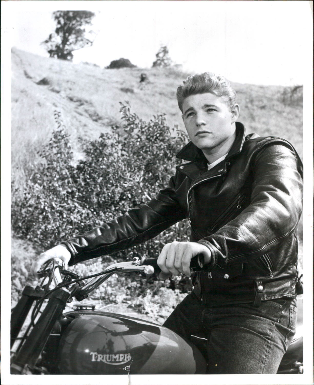 david nelson.JPG