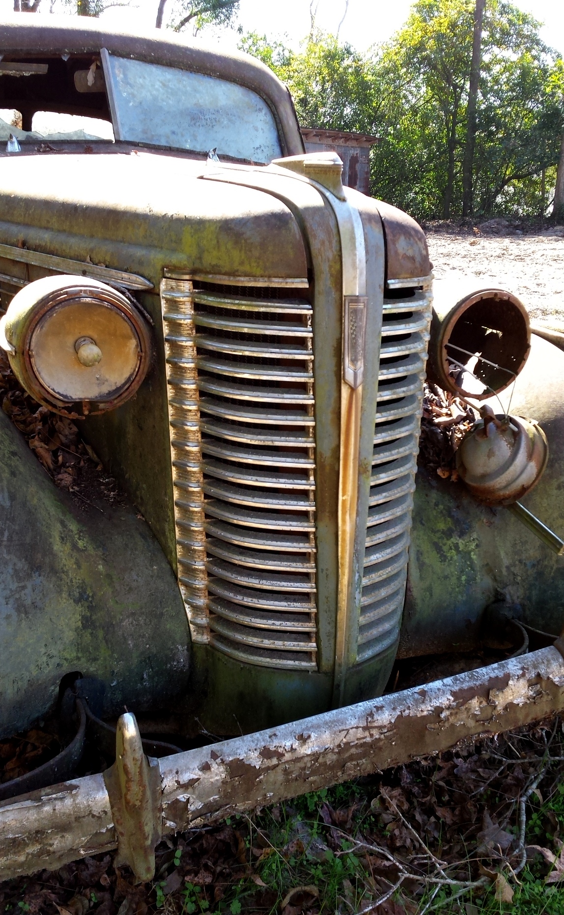 desoto1.jpg