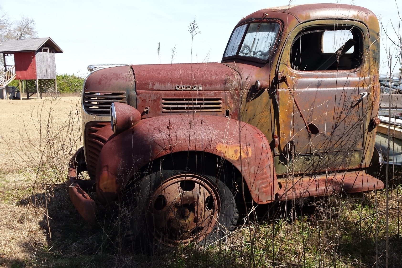 dodge2.jpg