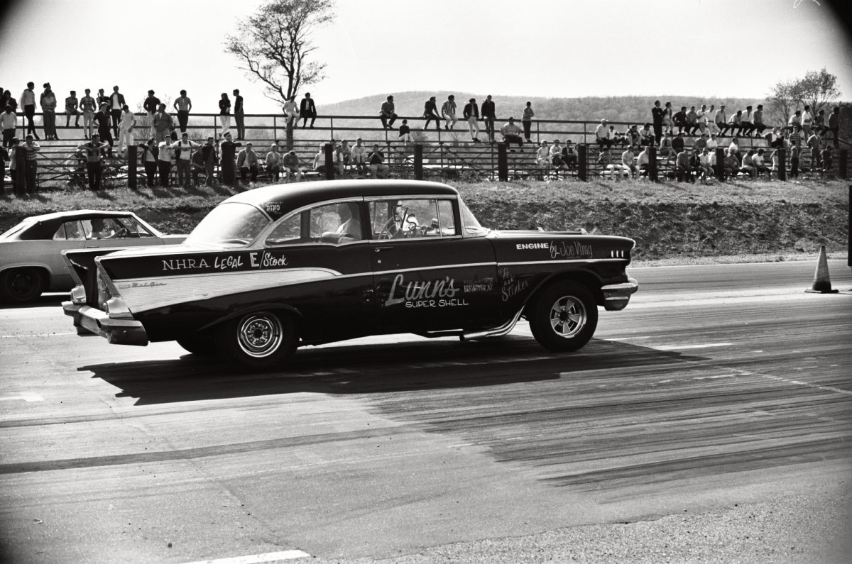 dover lynn's super shell2.jpg