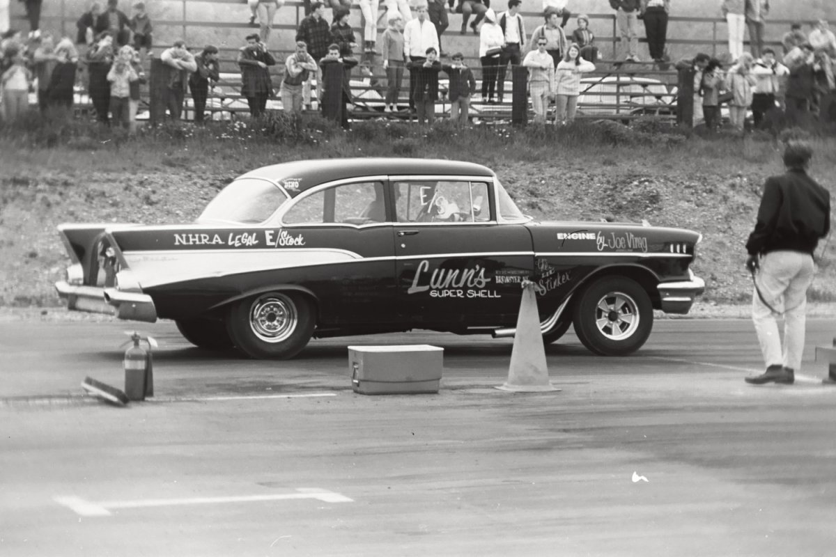 dover lynn's super shell3.jpg