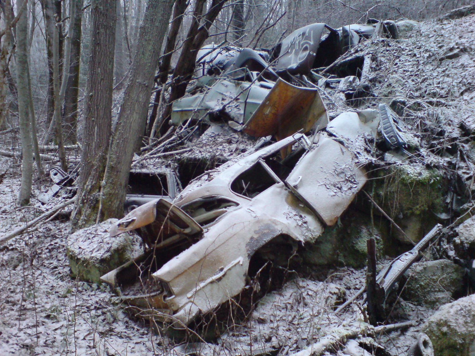 DSC00018.JPG