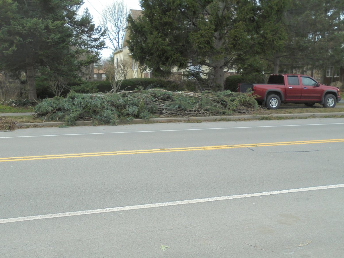 DSC00680.JPG