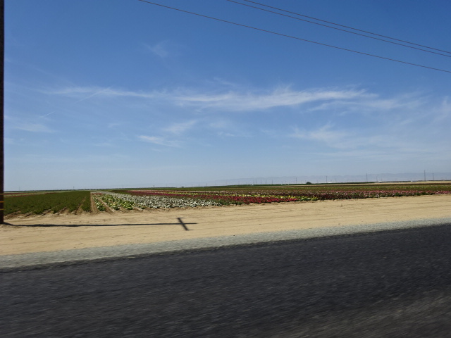 DSC01112.JPG