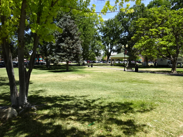 DSC01136.JPG