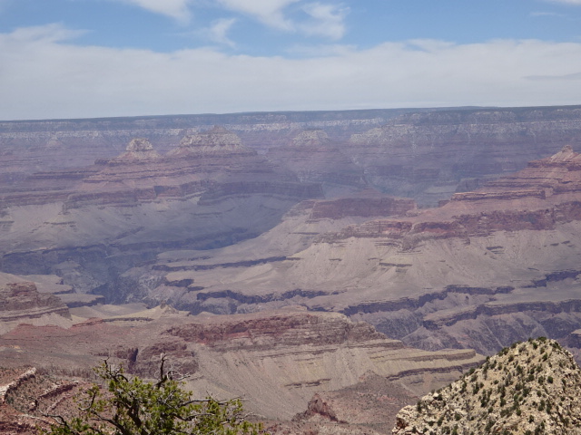 DSC01616.JPG