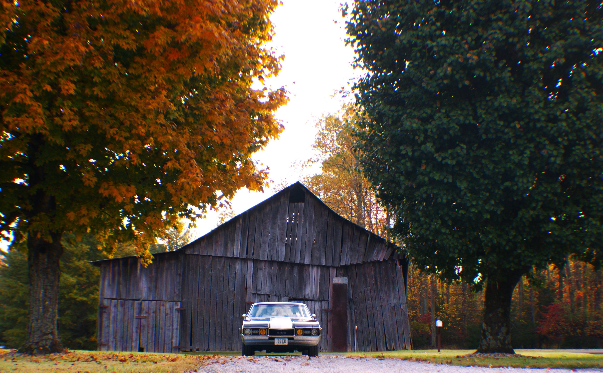 DSC02016 A.JPG