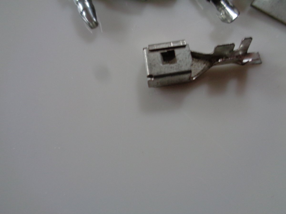 DSC05880.JPG