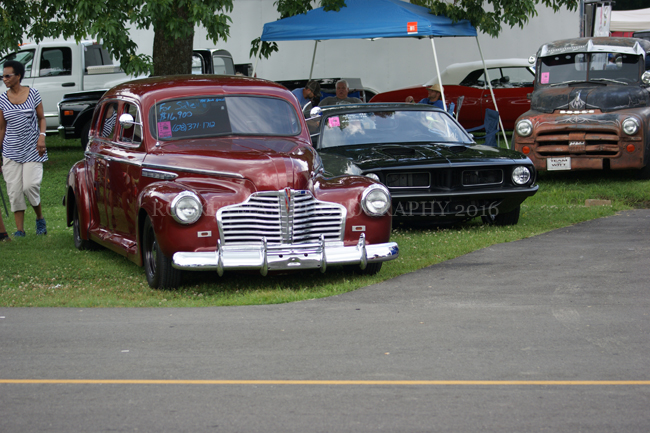 DSC06140.jpg