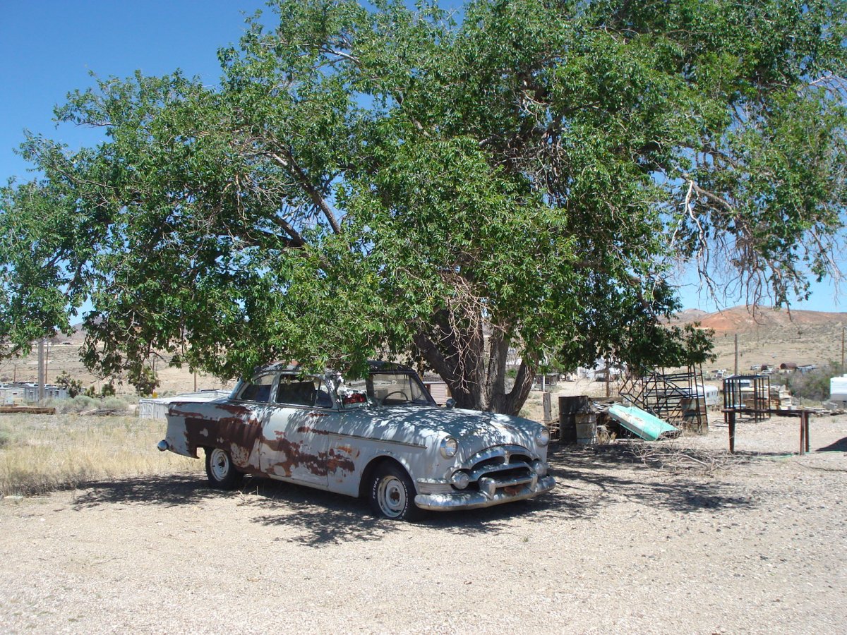 DSC08165.JPG