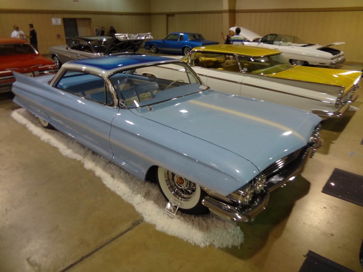 DSC08242 (Large).JPG
