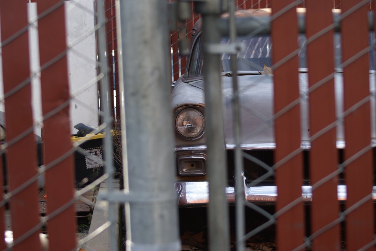 DSC09671.JPG