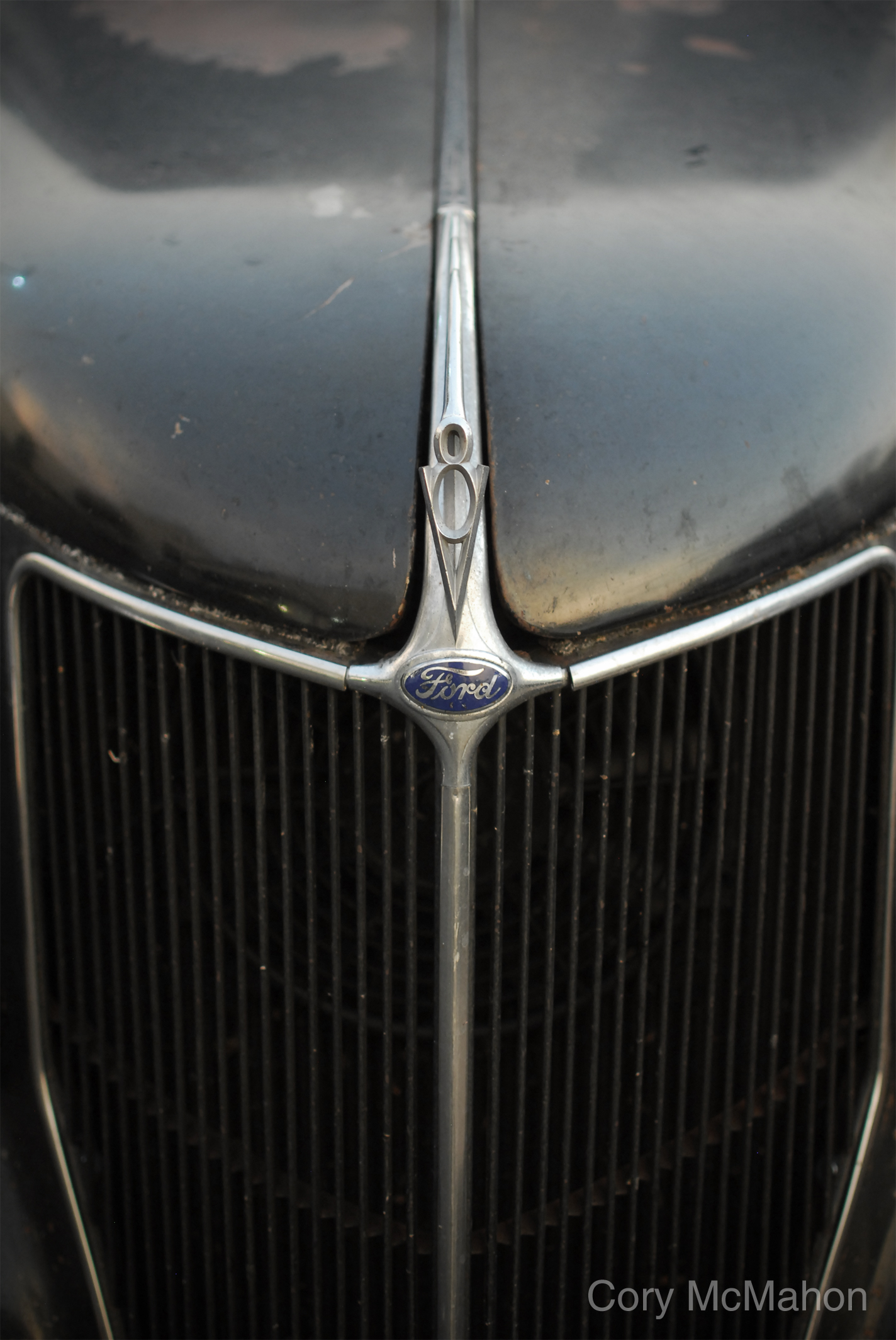DSC_0184.jpg