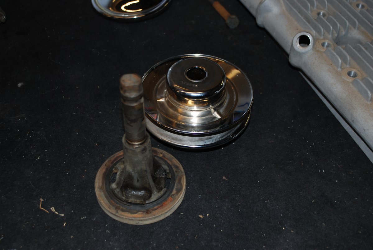 DSC_0264.JPG