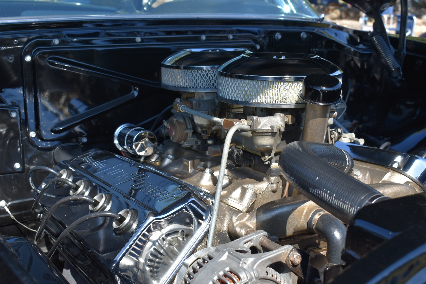 DSC_0629.jpeg