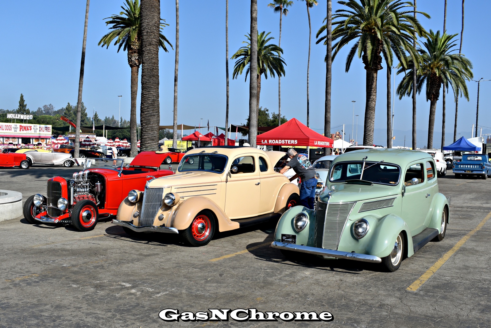 DSC_1670.JPG
