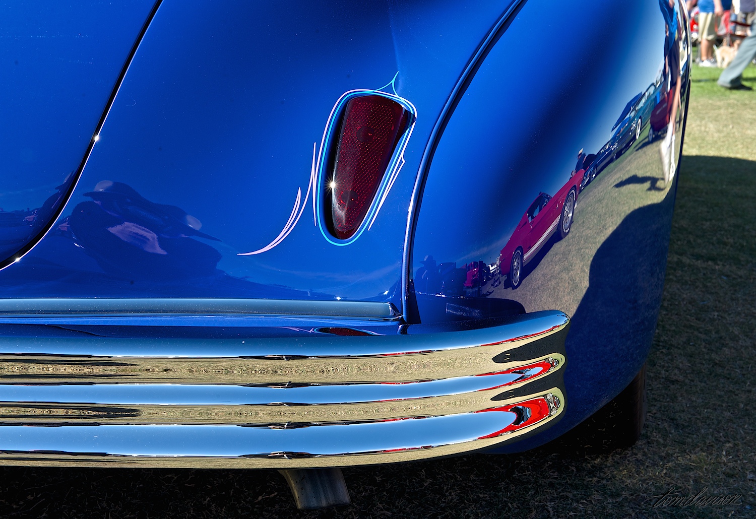 DSC_1684.jpg