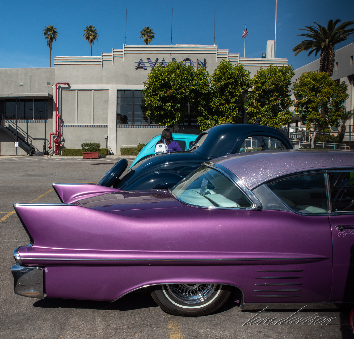 DSC_2577.jpg