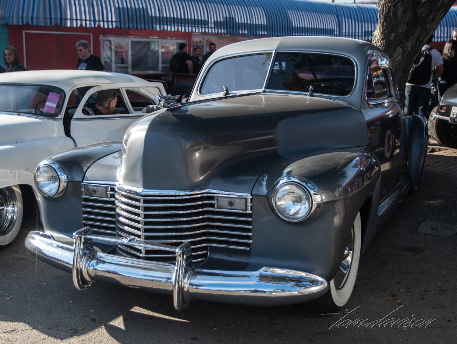 DSC_2726.jpg