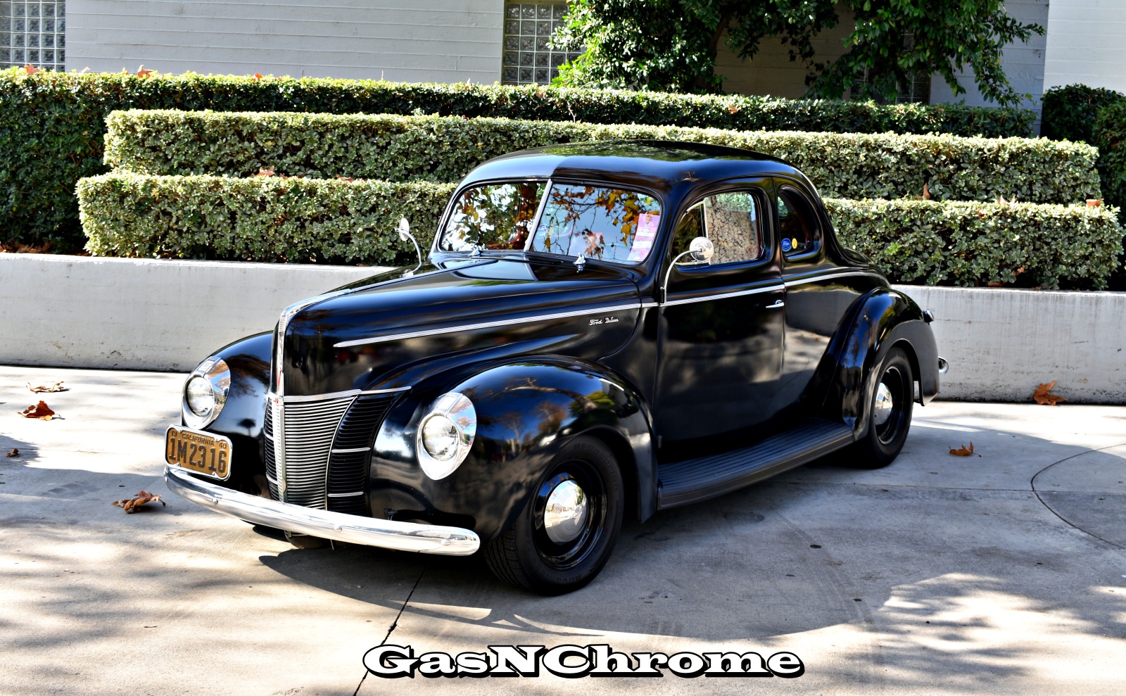 DSC_3777.JPG
