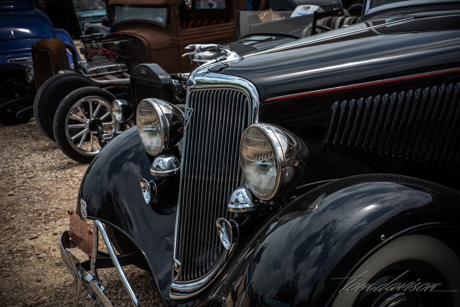 DSC_4869.jpg