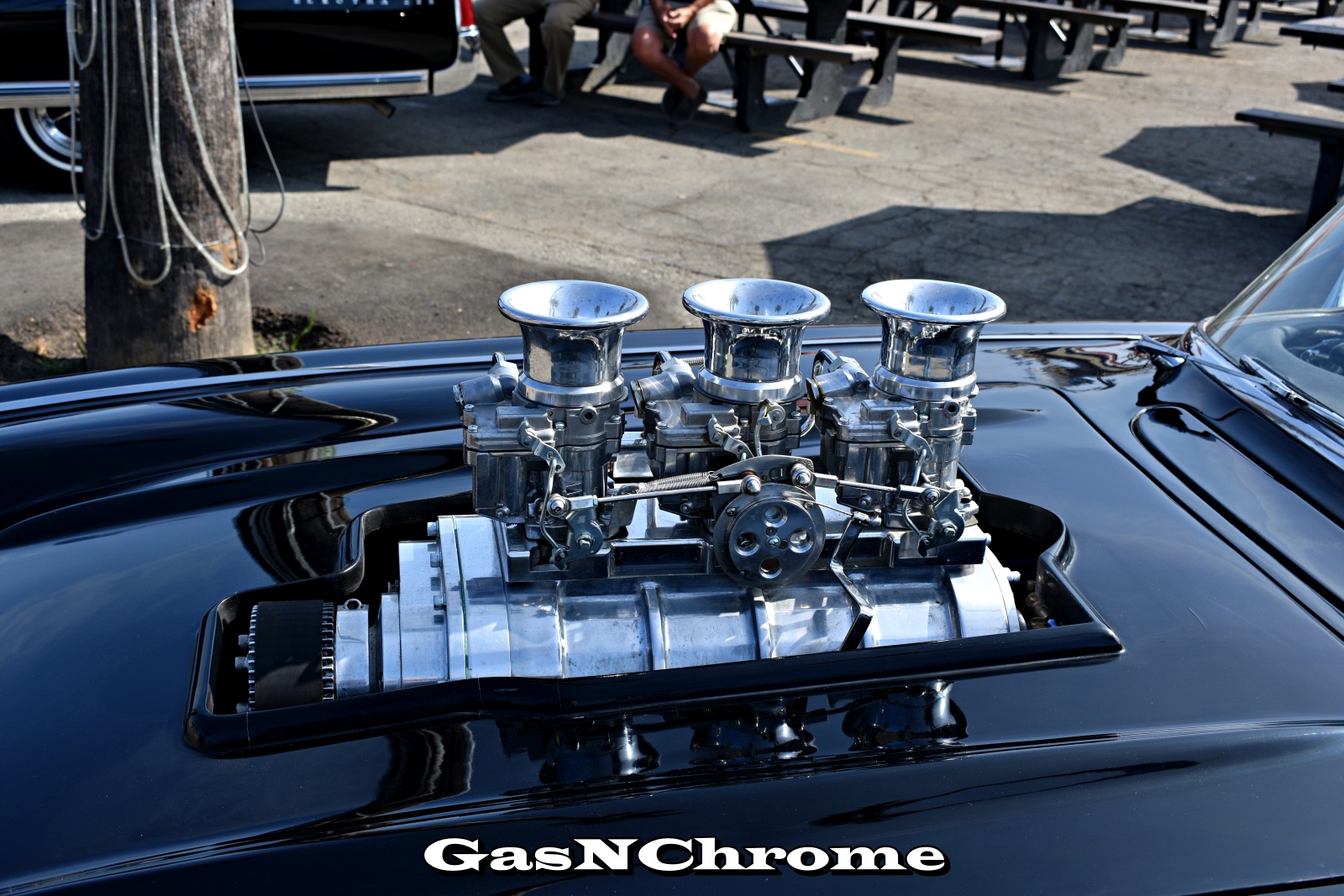 DSC_5185.JPG
