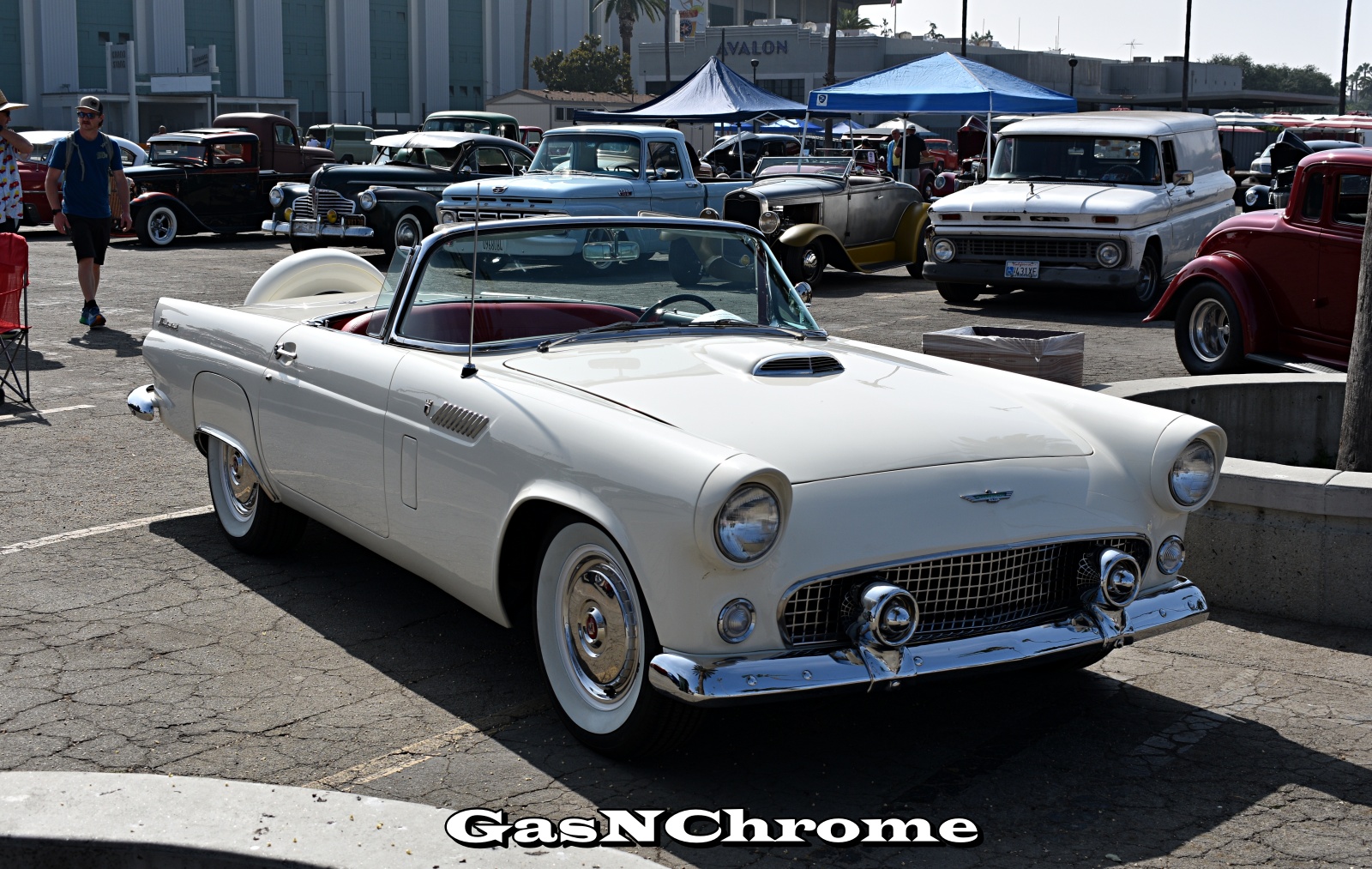 DSC_5195.JPG