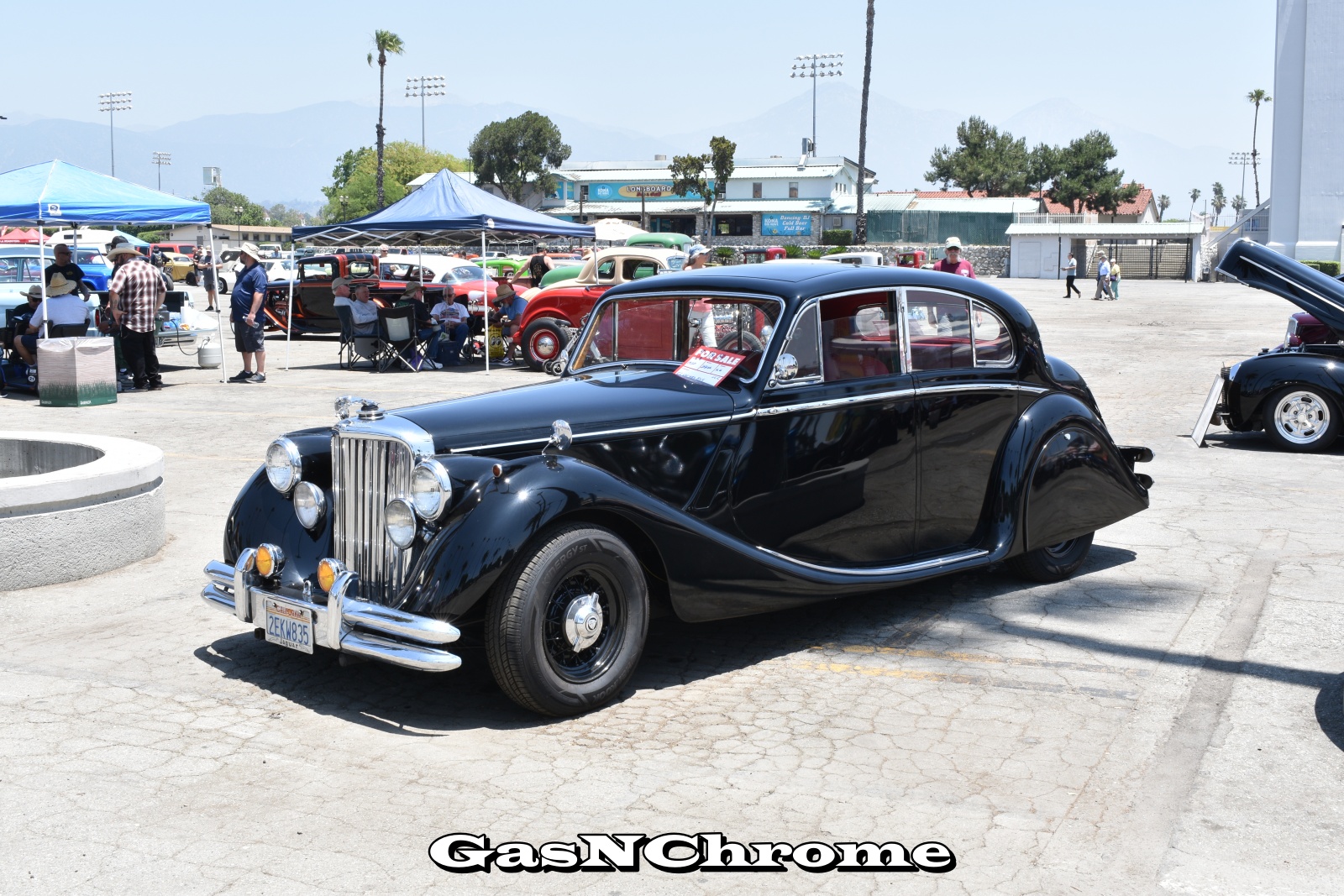 DSC_5383.JPG