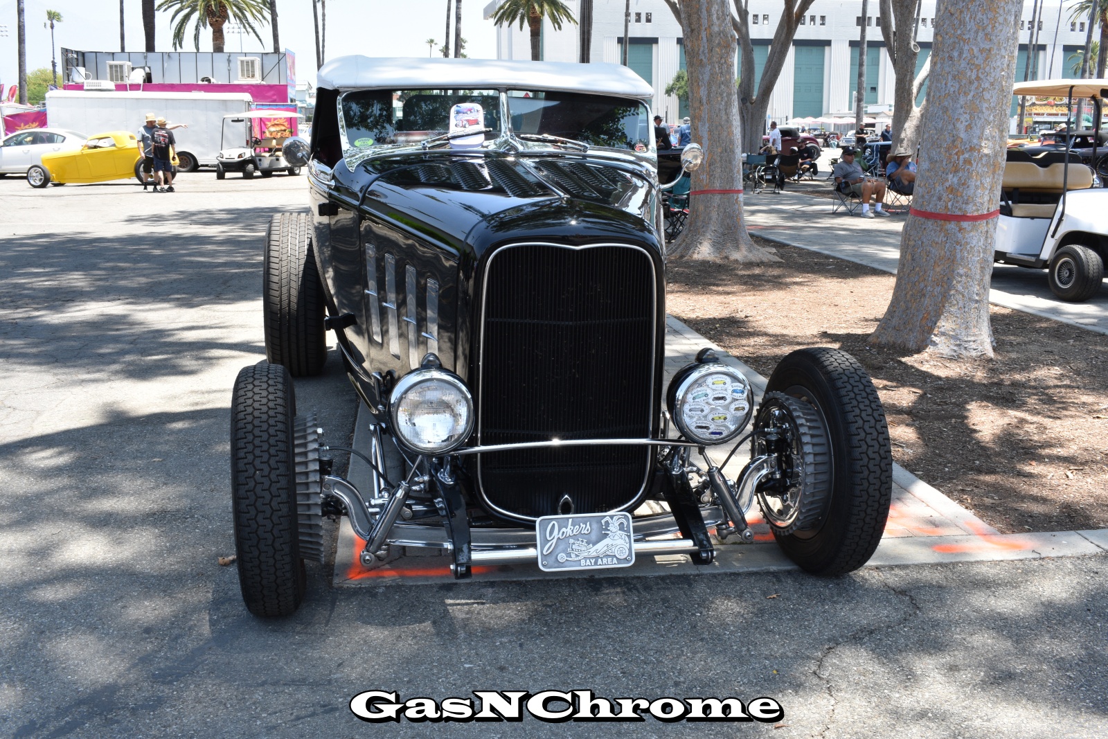 DSC_5425.JPG