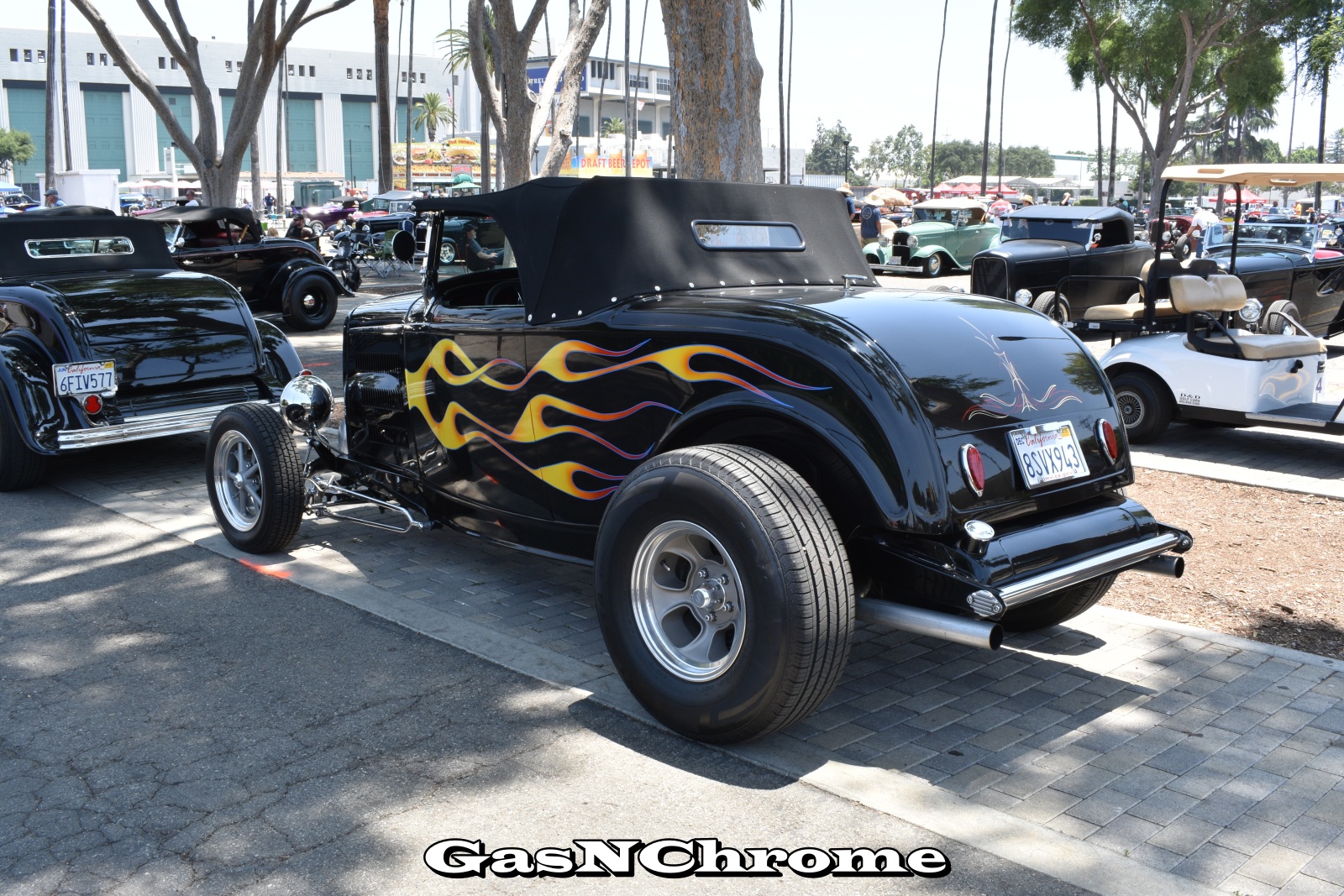 DSC_5428.JPG
