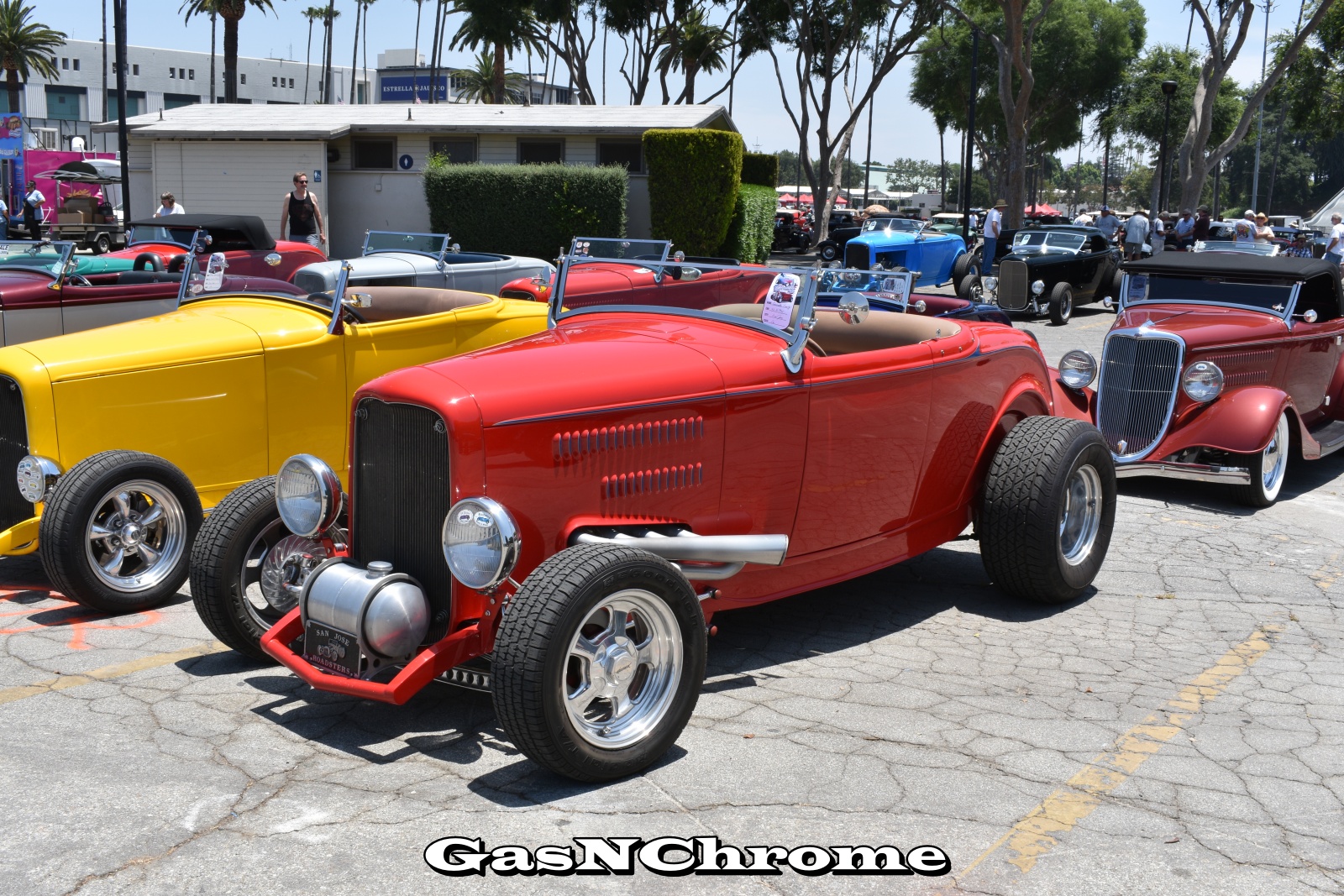 DSC_5459.JPG