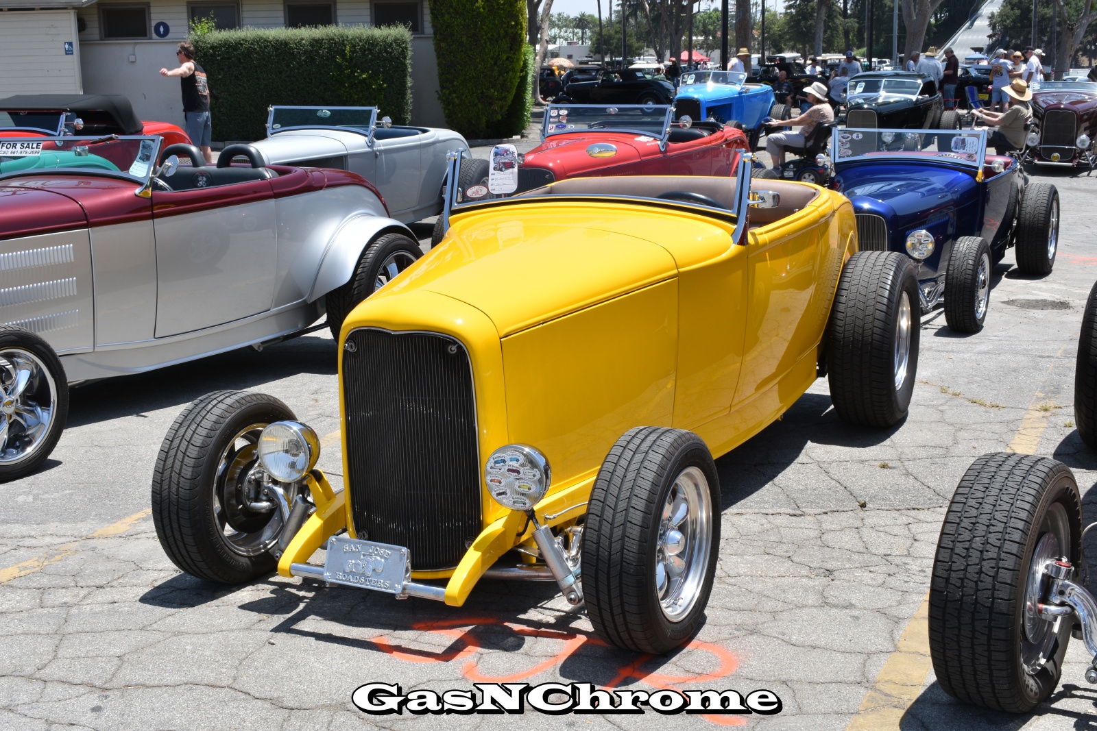 DSC_5463.JPG