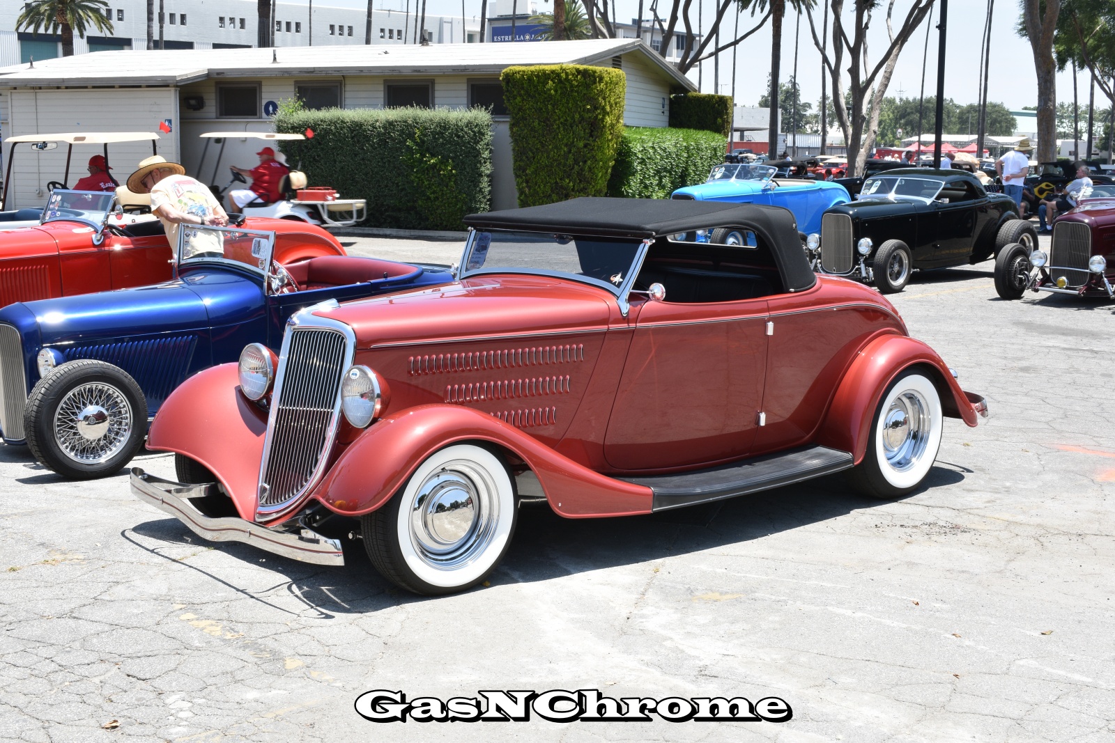 DSC_5479.JPG