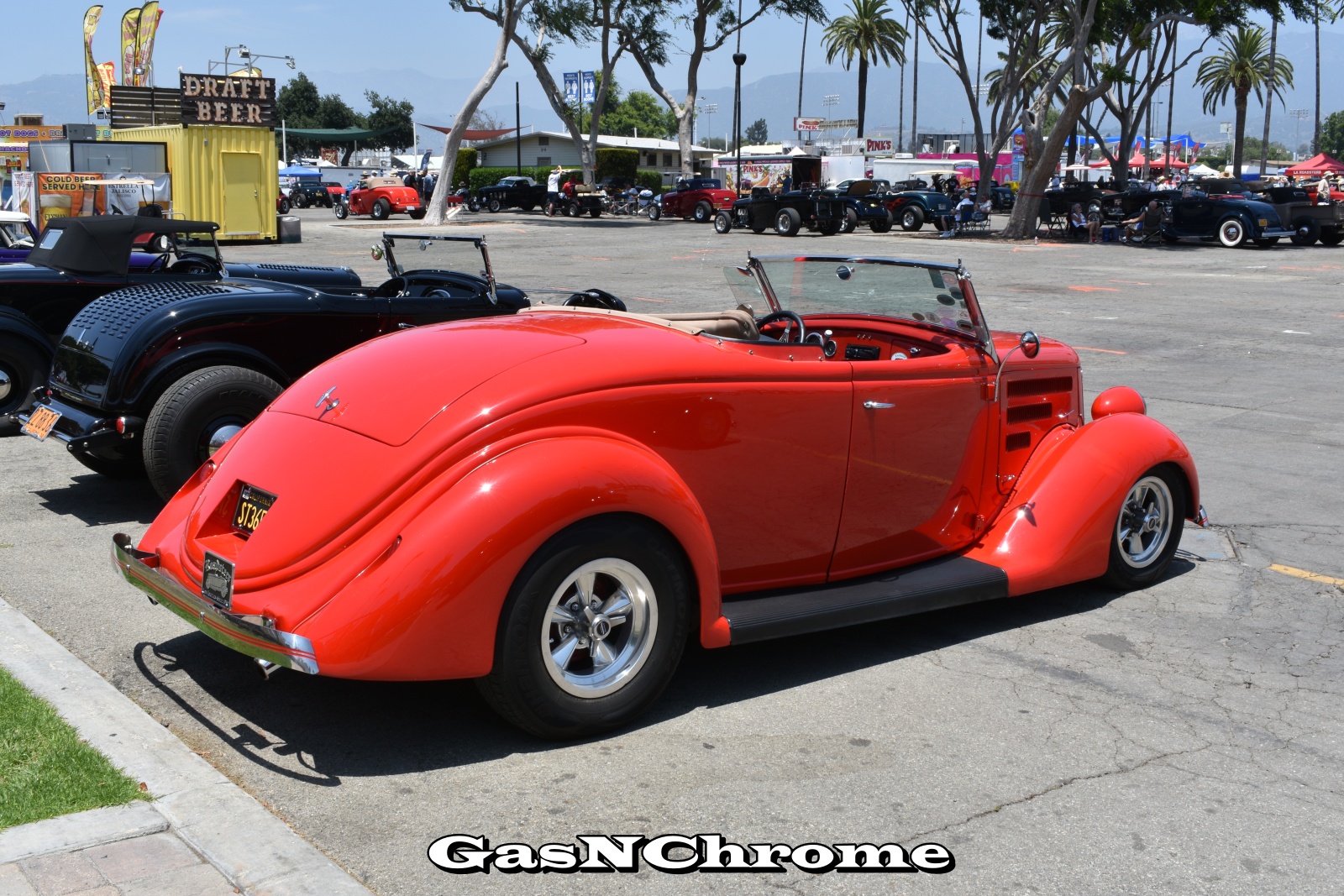 DSC_5529.JPG