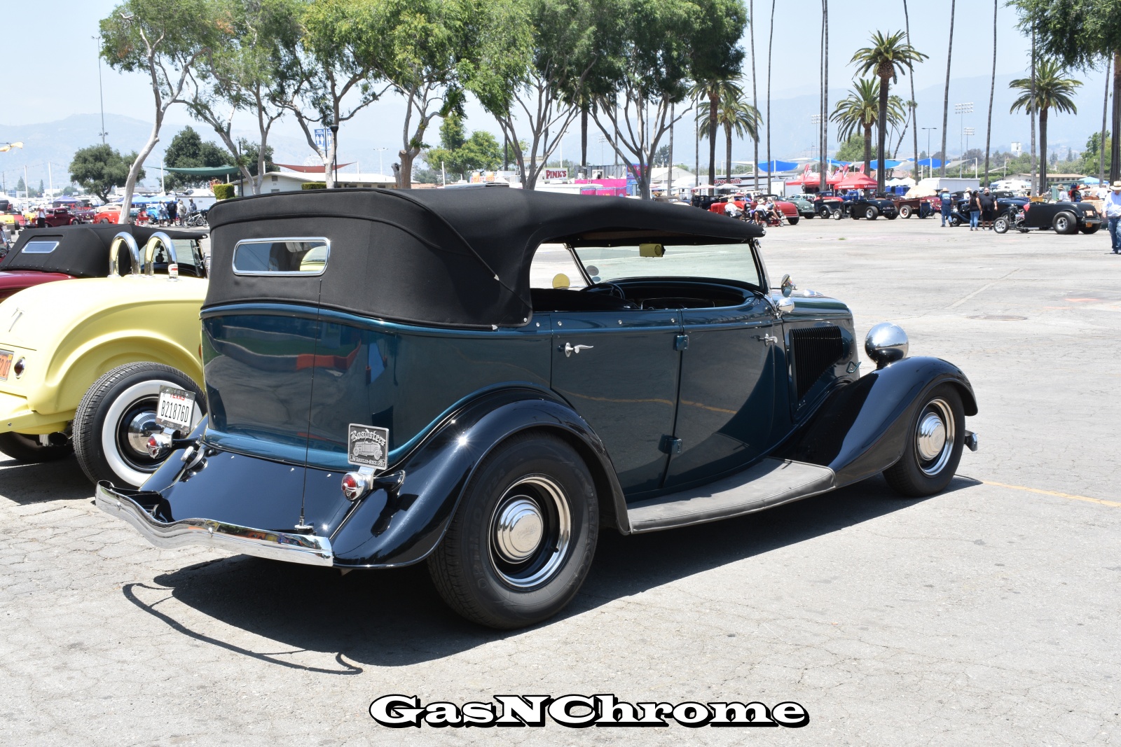 DSC_5567.JPG