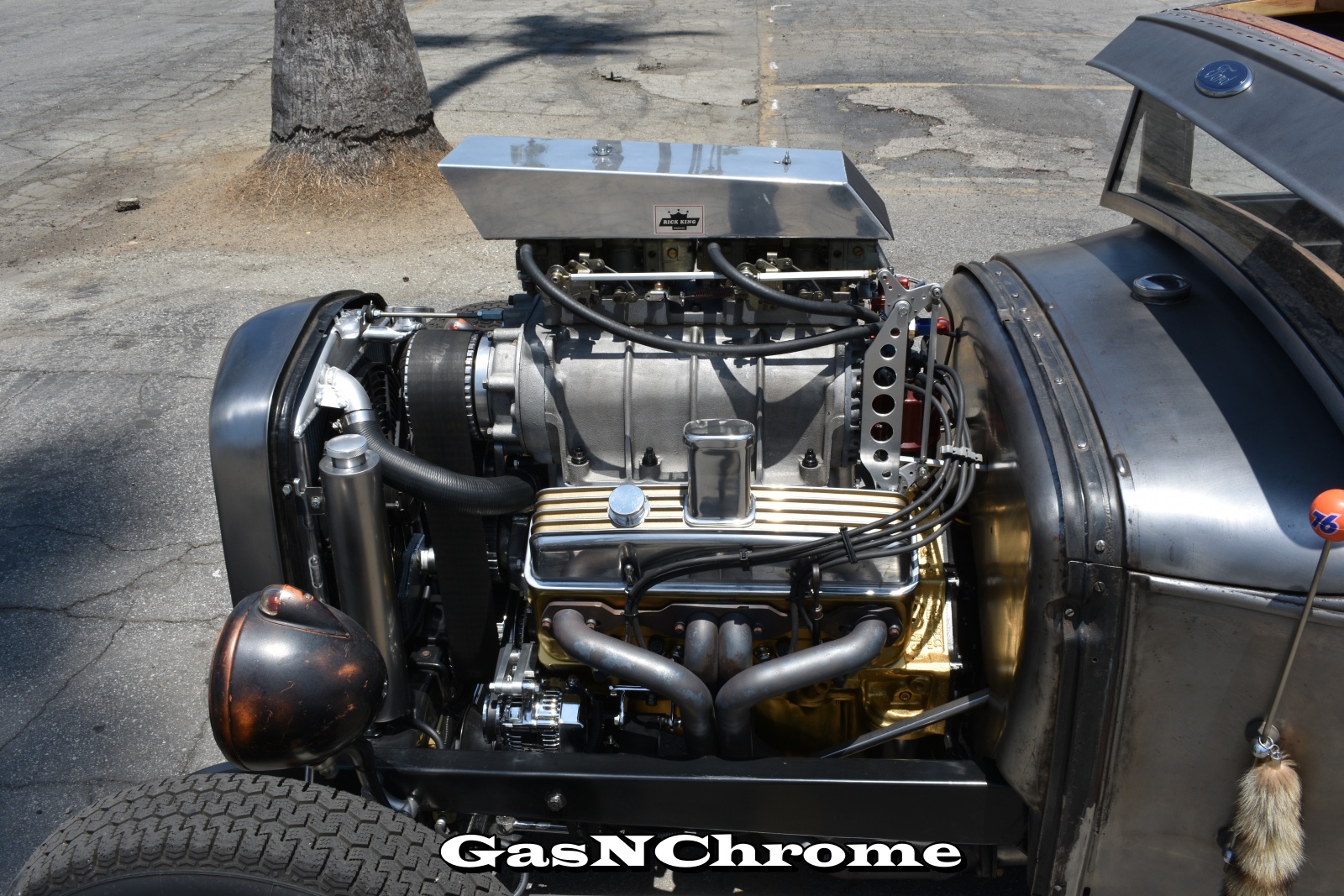 DSC_5572.JPG