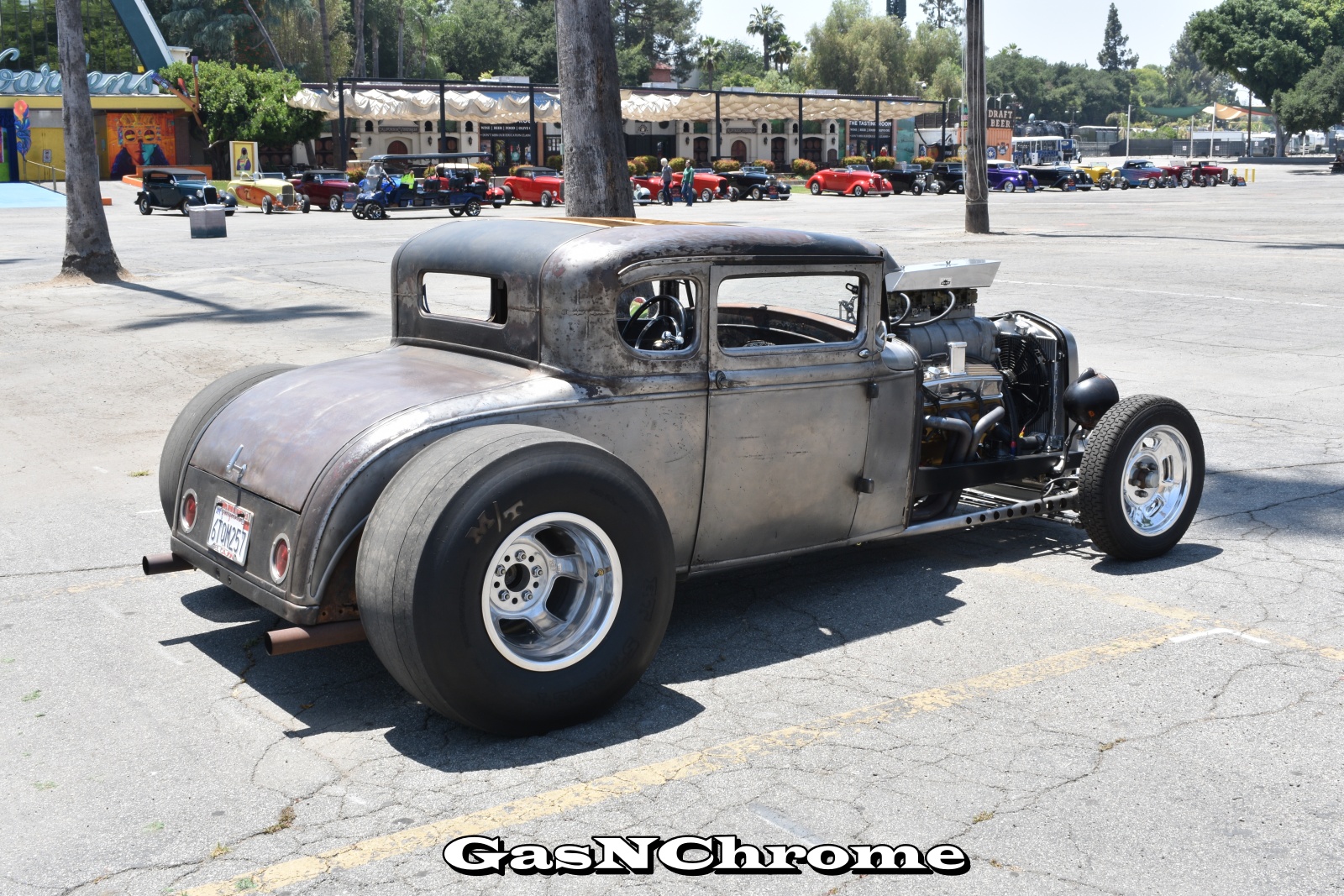DSC_5575.JPG
