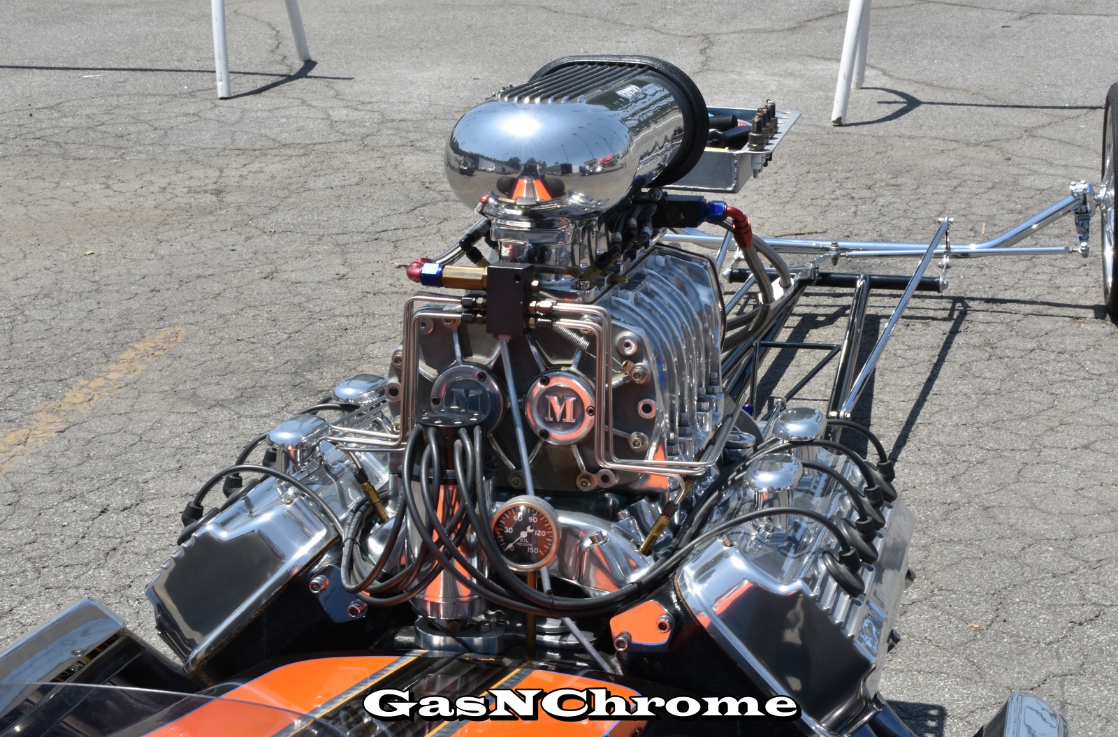 DSC_5599.JPG