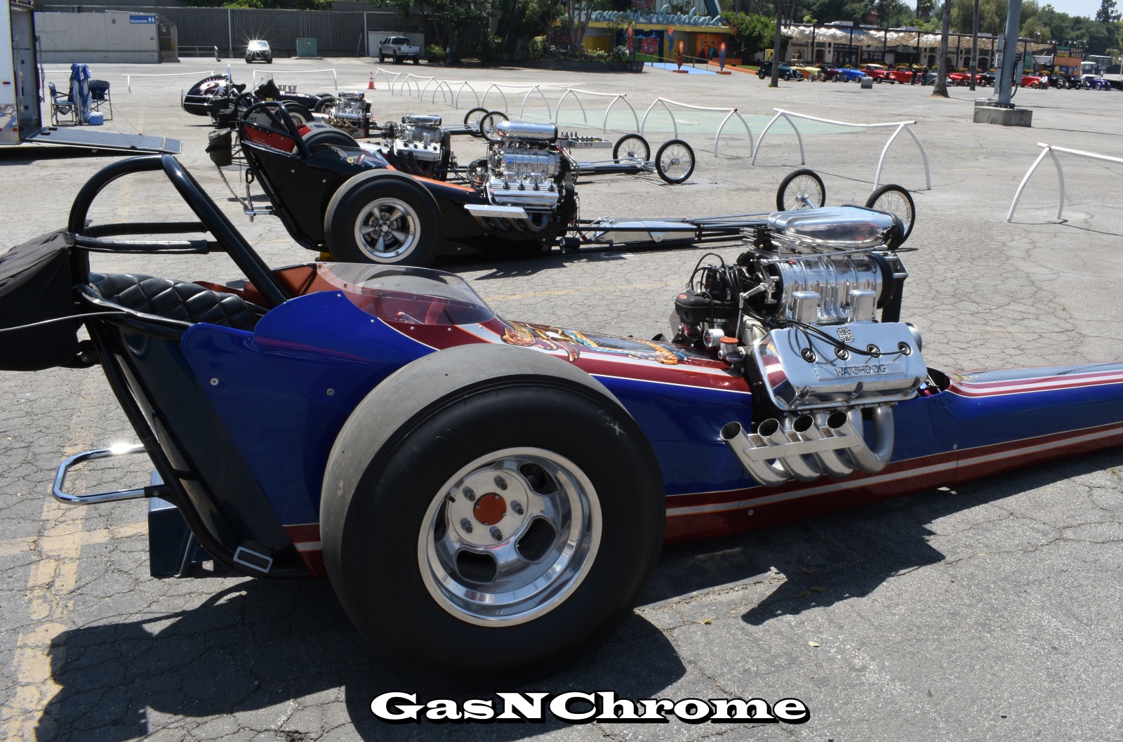 DSC_5606.JPG