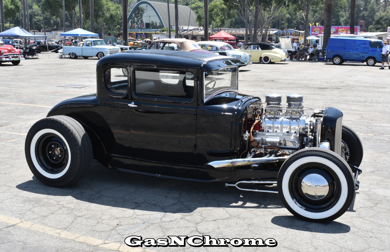 DSC_5667.JPG