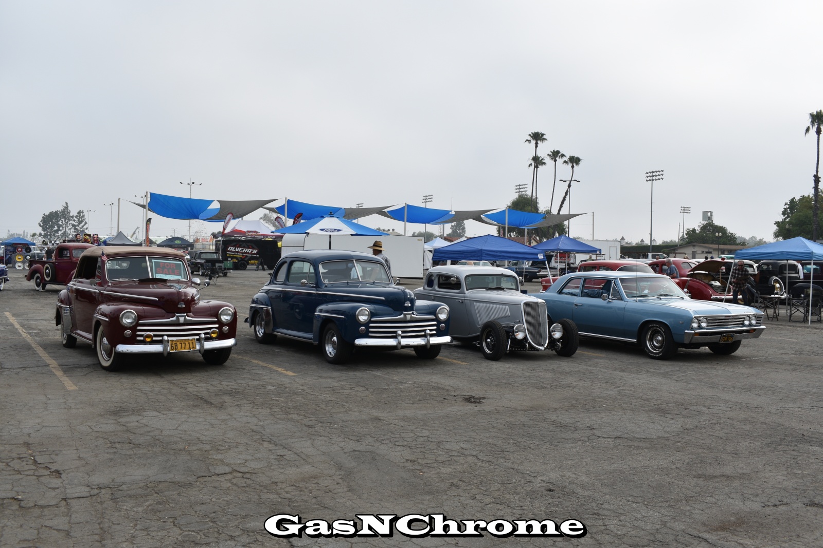 DSC_5720.JPG