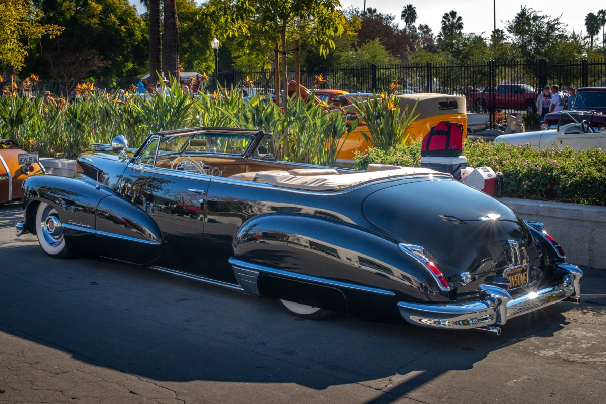 DSC_5836.jpg