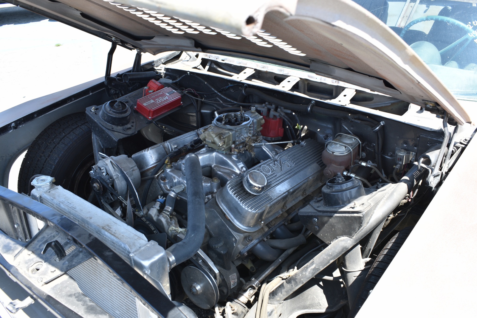 DSC_5853.JPG